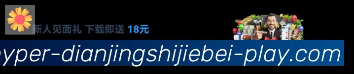 奖项证书